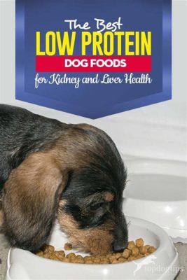 what is a low protein diet for dogs and how does it affect their bone health?